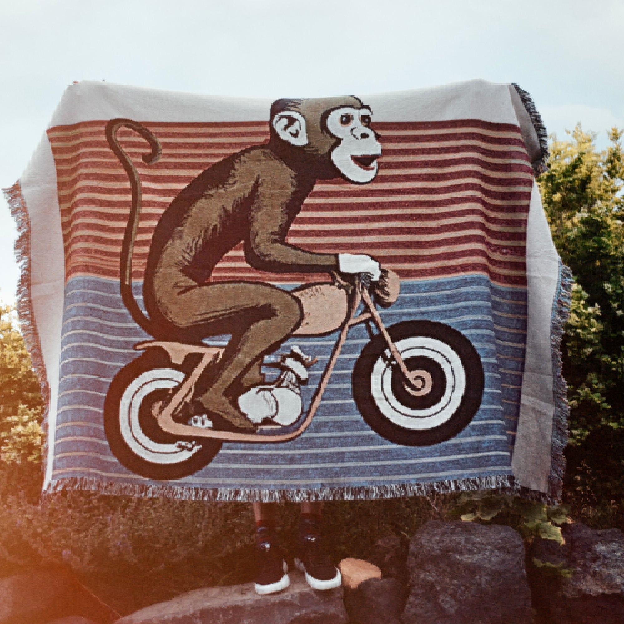 Motor Monkey Blanket