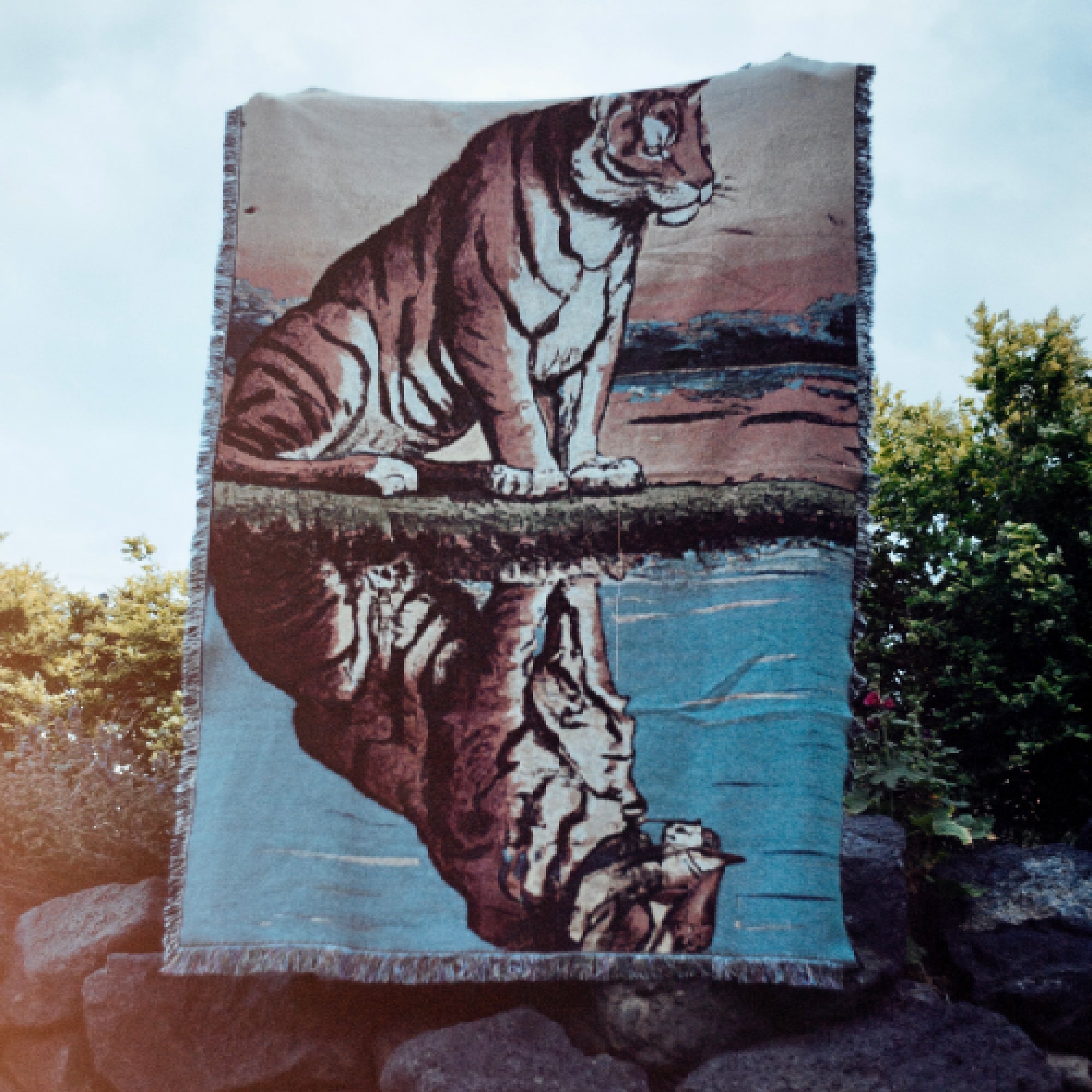 Tiger Blanket